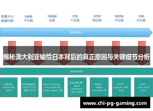 揭秘澳大利亚输给日本背后的真正原因与关键细节分析