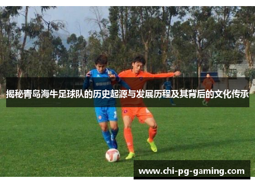揭秘青岛海牛足球队的历史起源与发展历程及其背后的文化传承