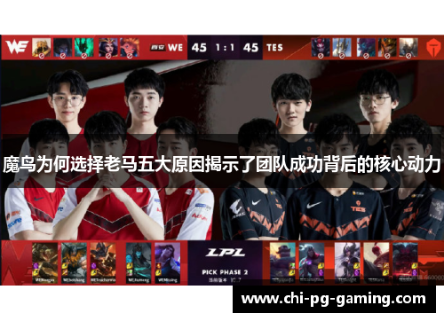 魔鸟为何选择老马五大原因揭示了团队成功背后的核心动力