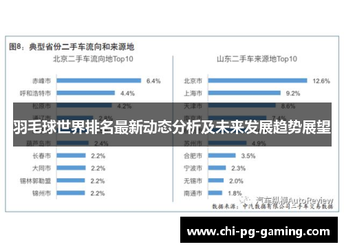 羽毛球世界排名最新动态分析及未来发展趋势展望