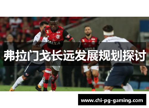 弗拉门戈长远发展规划探讨