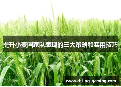 提升小麦国家队表现的三大策略和实用技巧