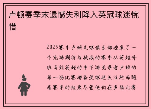 卢顿赛季末遗憾失利降入英冠球迷惋惜